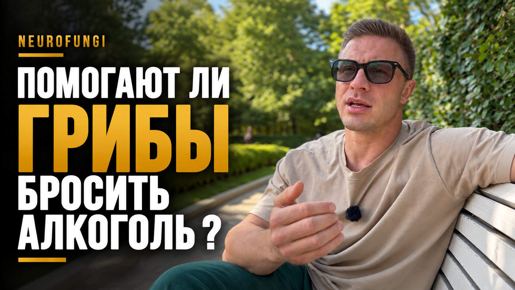 Помогают ли грибы бросить алкоголь?